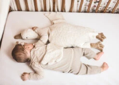 HoutenDier Winkel -HoutenDier Winkel SengerNaturweltwarmteknuffelganswitgrootY21022A