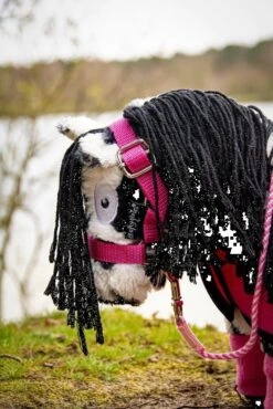 Crafty Ponies Fleecedeken Roze Set 4-delig -HoutenDier Winkel image 1144