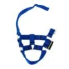 Crafty Ponies Halster Blauw -HoutenDier Winkel image 1145